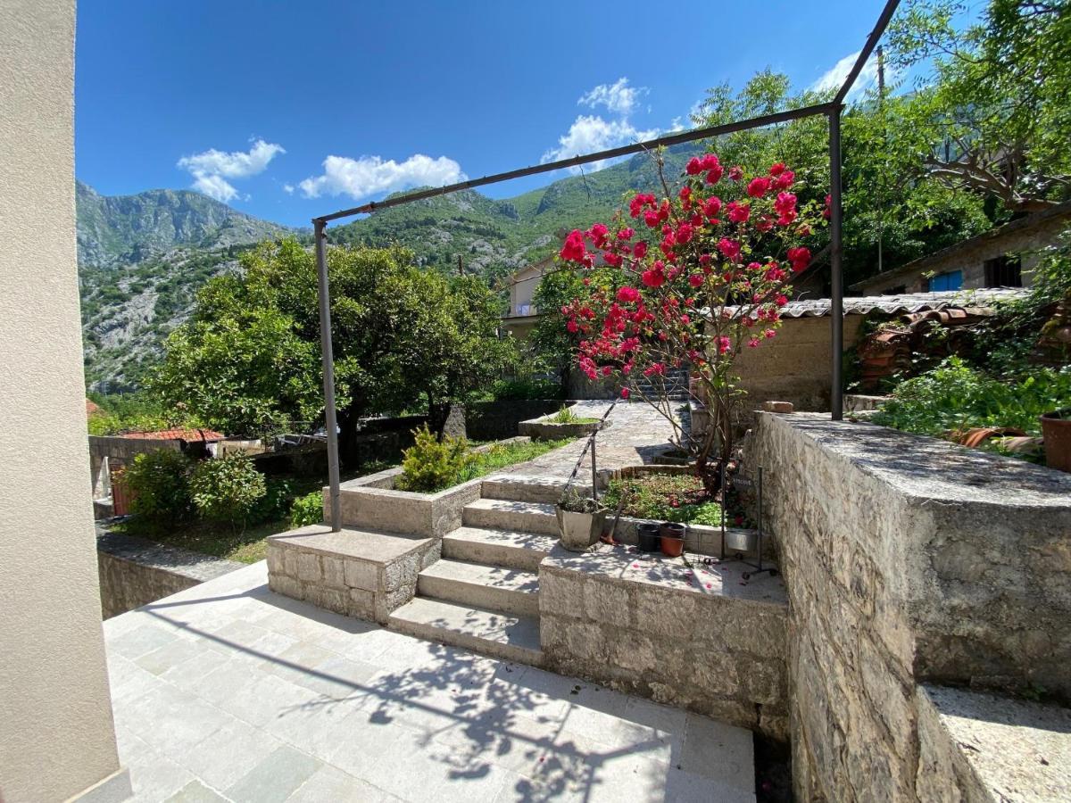 Apartments Mezini 11 Kotor Exterior foto